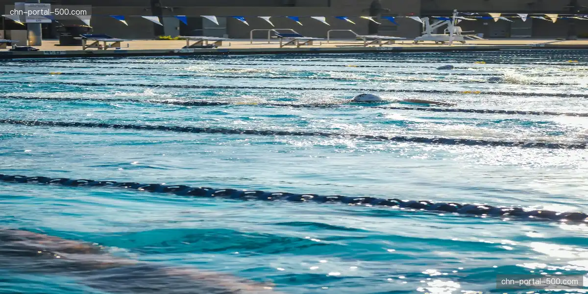 📺 全局AI预测趋势,观赛升级为战术学习。🧠